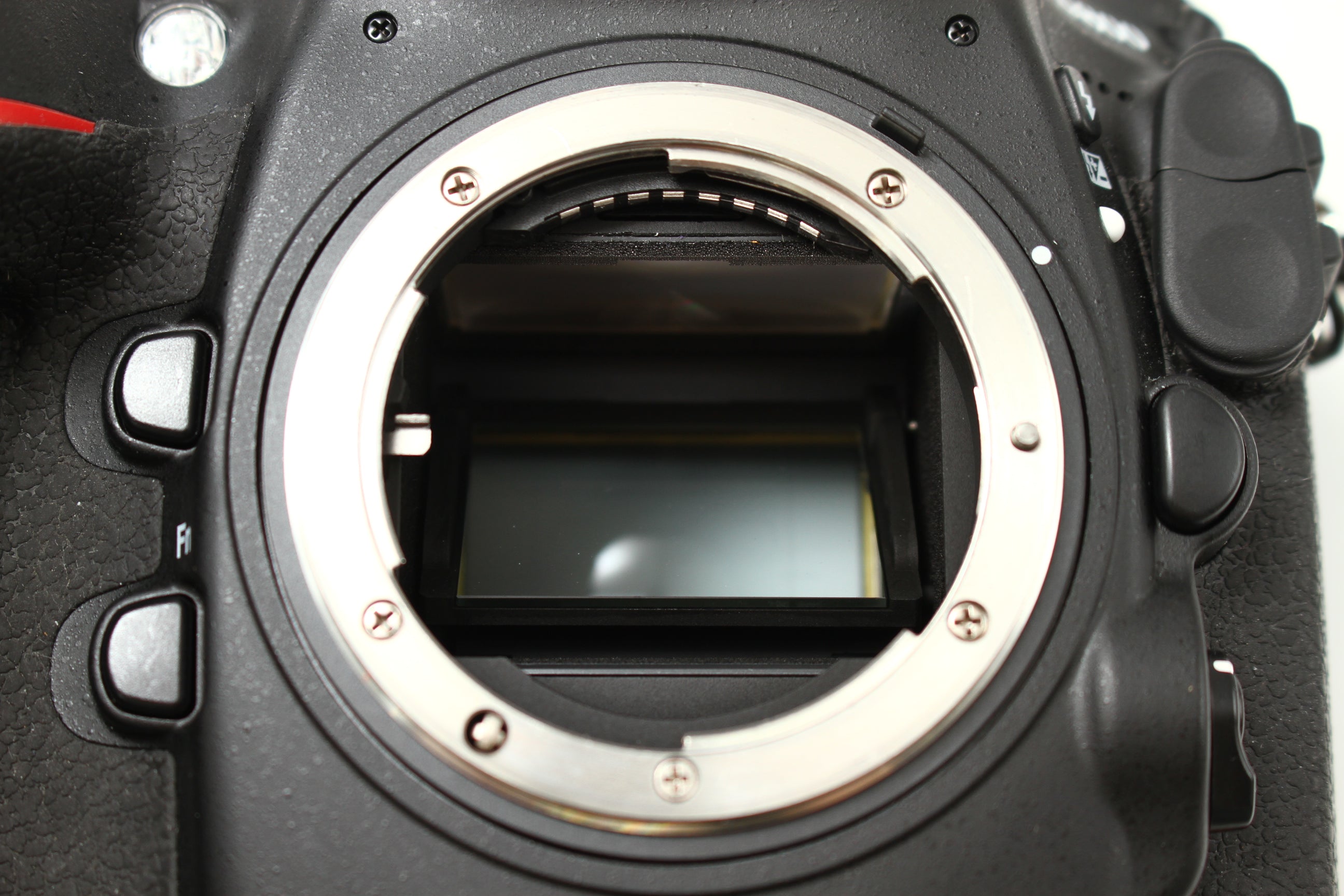 Nikon (ニコン) D800 デジタルカメラ 一眼レフ – にっしんカメラ