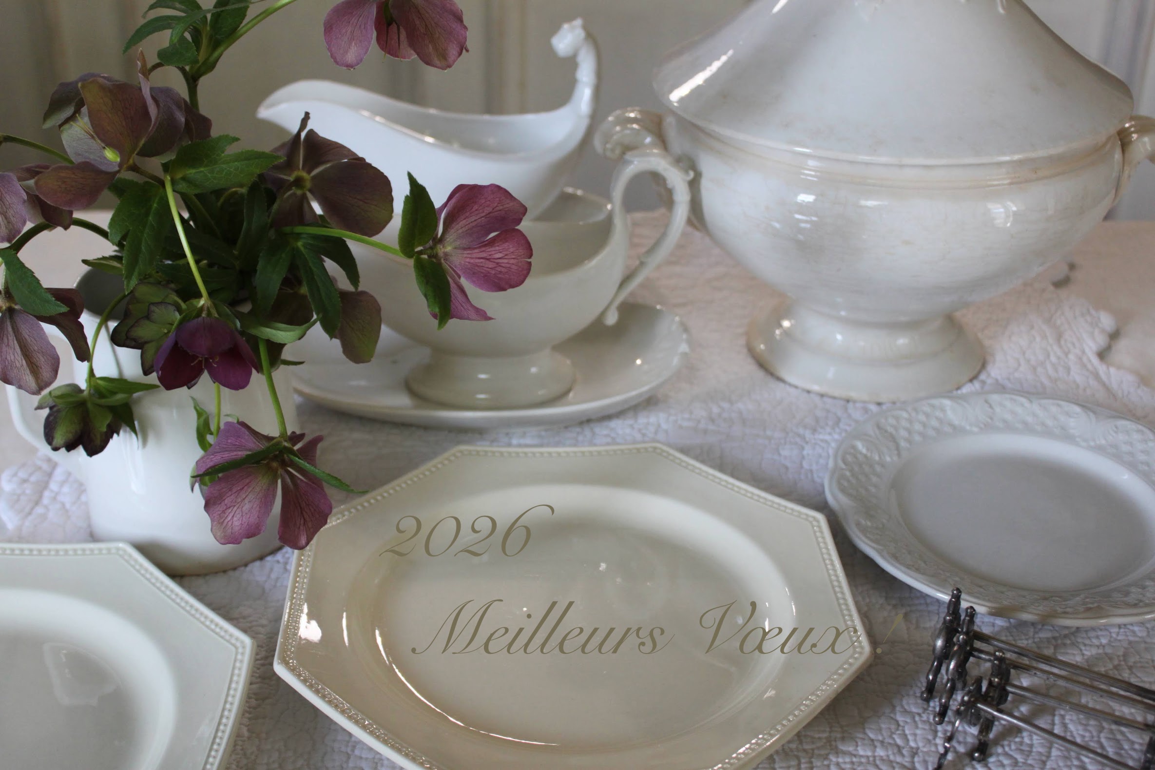 プレート・皿｜NOISETTE