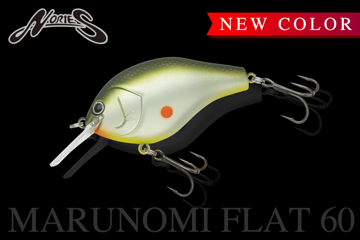 新色 MARUNOMI FLAT 60 | INFORMATION | NORIES