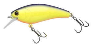 COMPLETE SQUARE 70 | BASS | NORIES