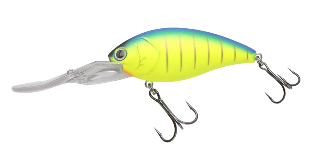 SHOT OVER 5 | BASS | NORIES