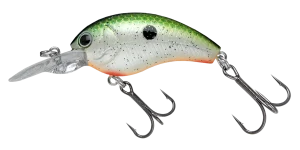 WORMING CRANK SHOT | BASS | NORIES