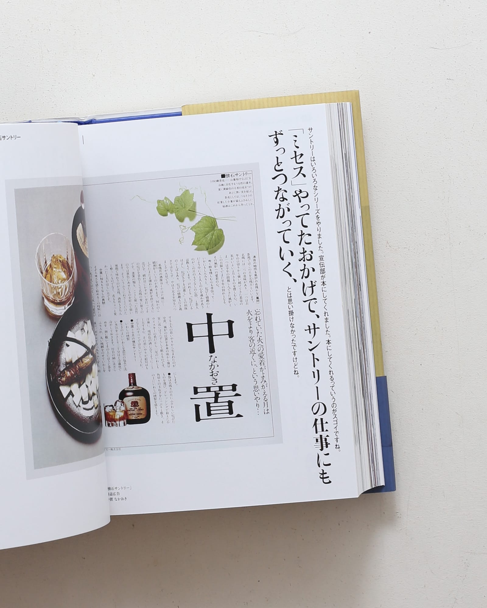 アートディレクター江島任 手をつかえ | nostos books ノストスブックス