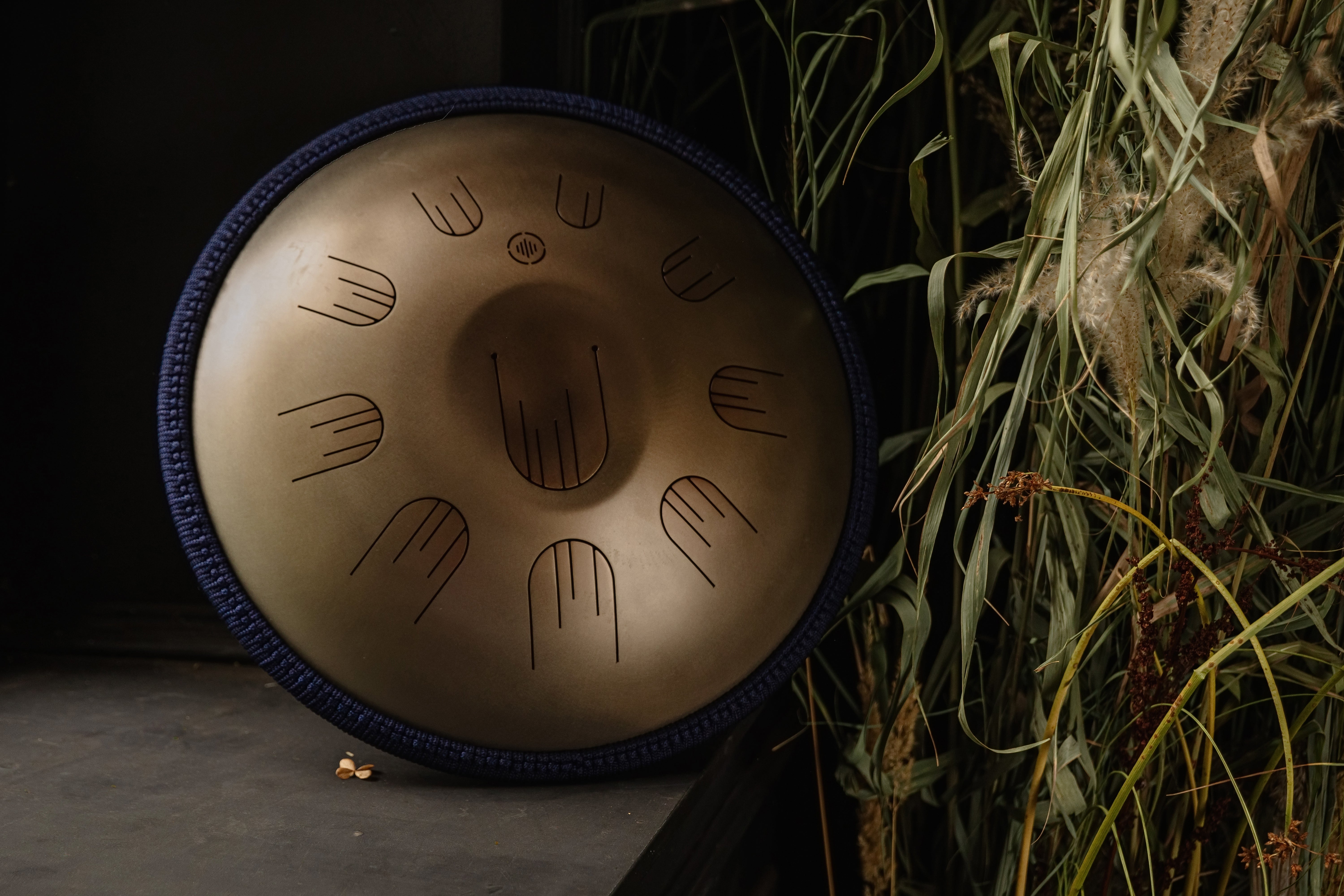 Nova 48 'Gold' Steel Tongue Drum – Handmade in Ukraine, Premium