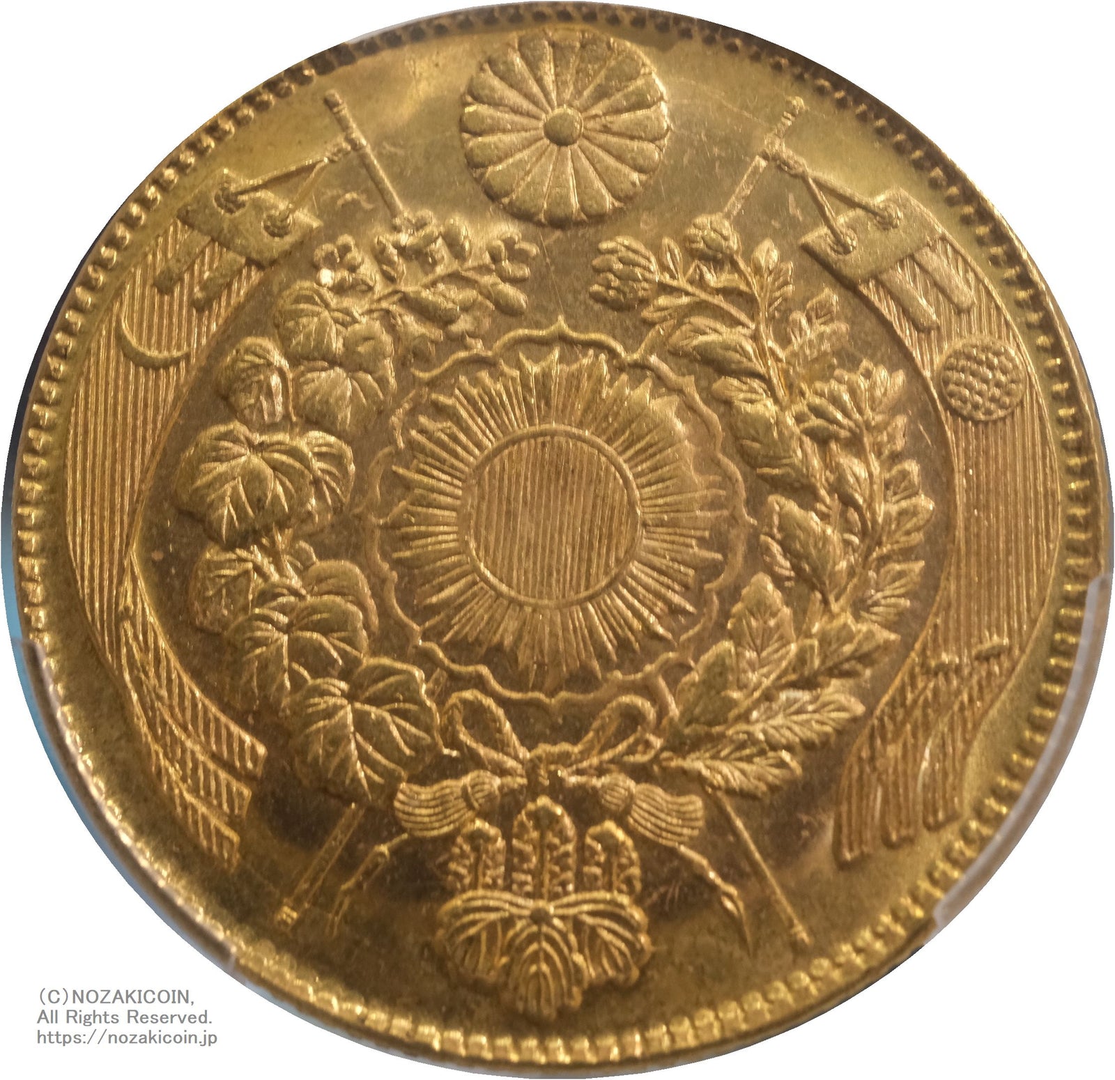 DSCF0016_1600x.jpg?v=1737788807