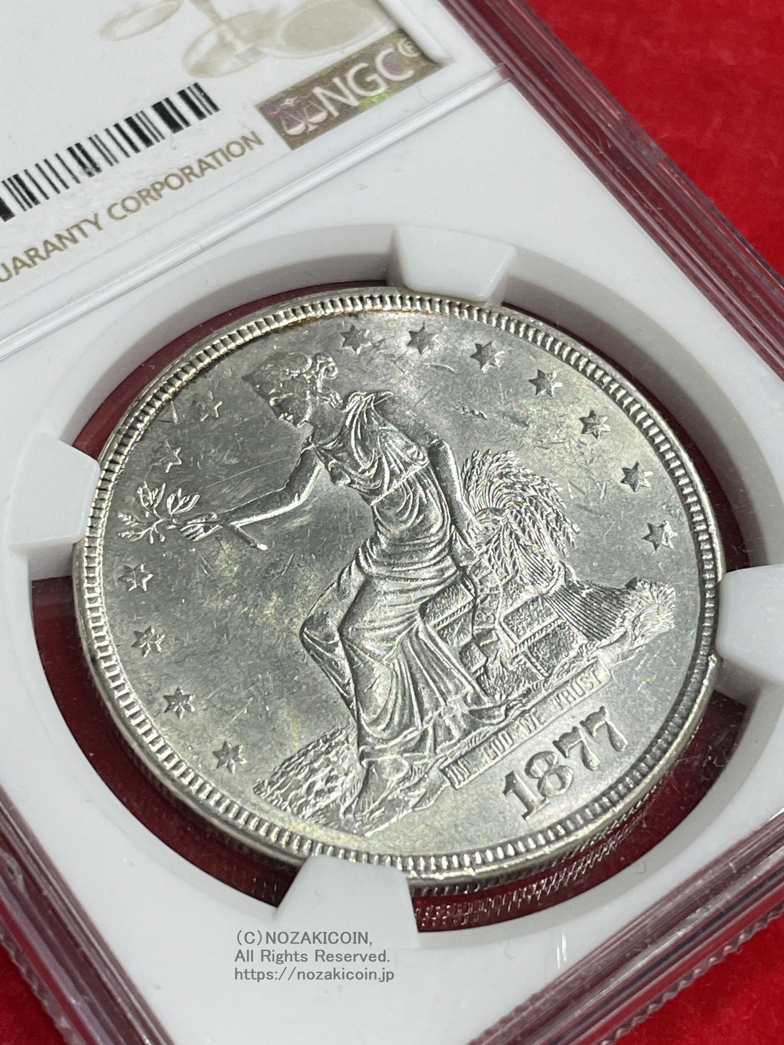 IMG_7476_1600x.jpg?v=1718858459