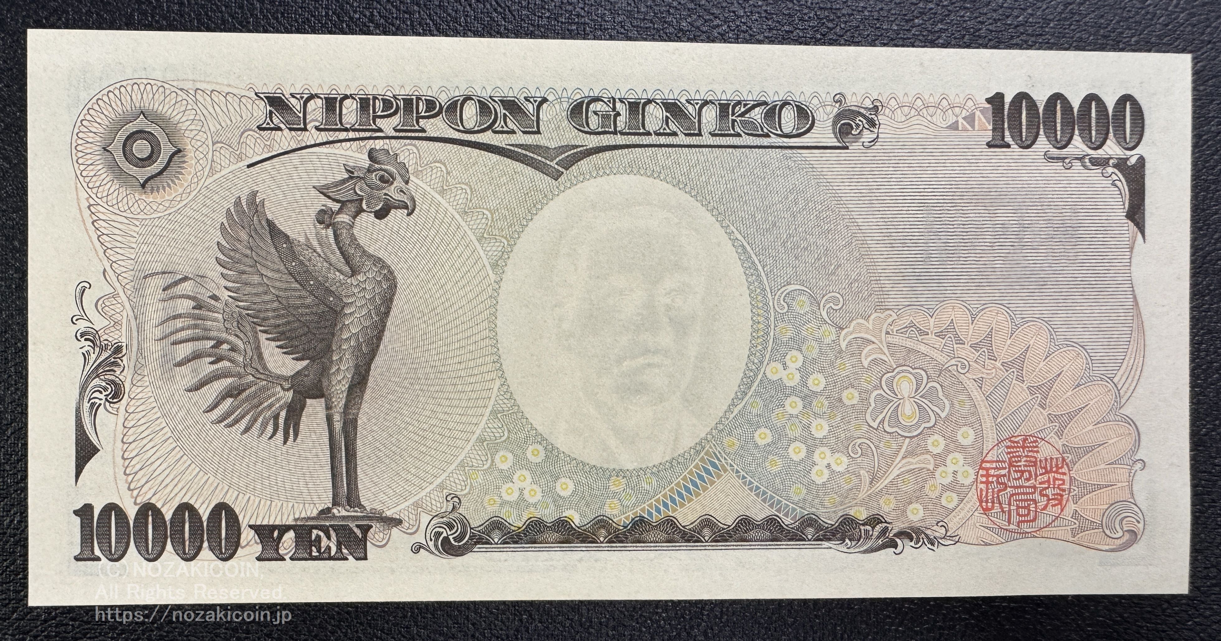 IMG_9344.jpg?v=1730457947