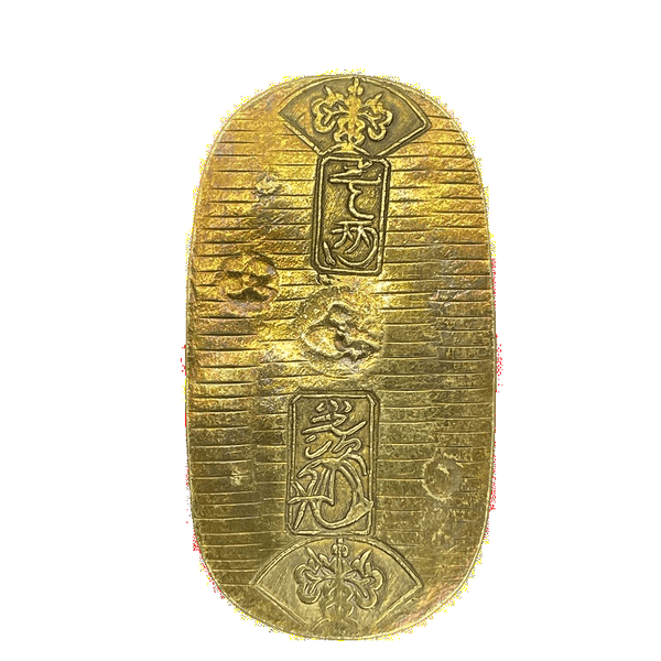 IMG_6264_600x600_crop_center.