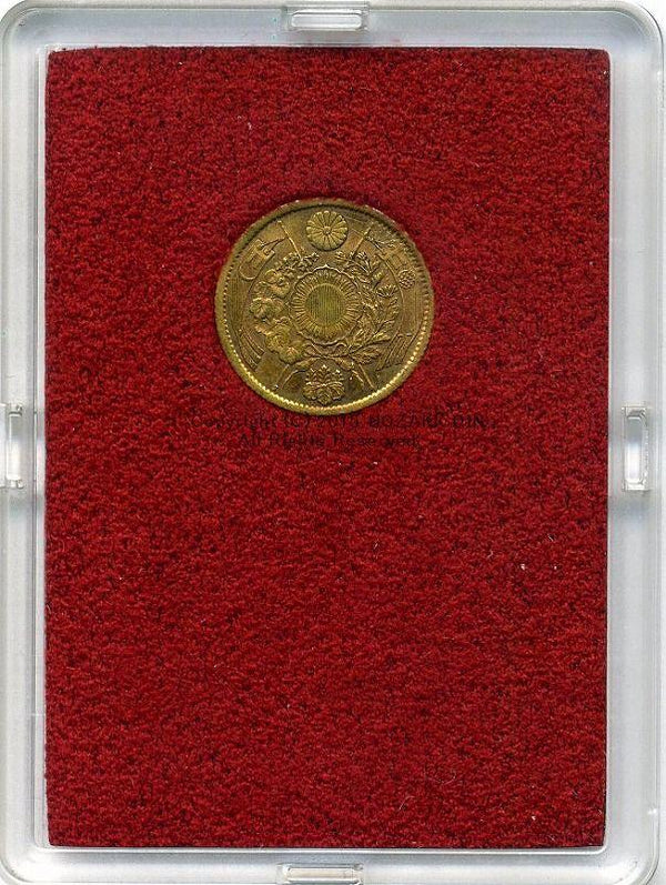 imgf551z_1_600x.jpg?v=1689653887