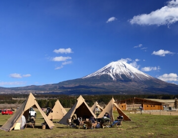 NATURAL MOUNTAIN MONKEYS