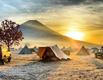 NATURAL MOUNTAIN MONKEYS