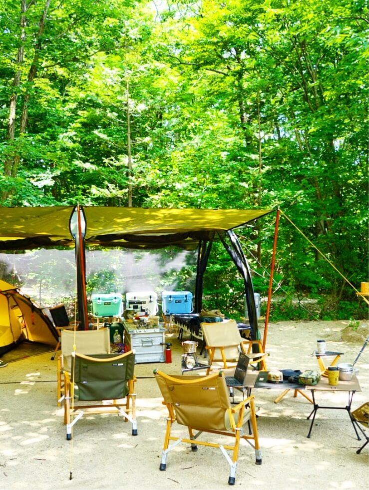 NATURAL MOUNTAIN MONKEYS