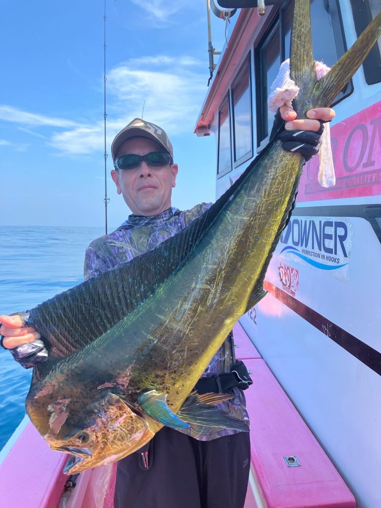 最新釣果情報・駿河湾シイラキャスティング｜沼津静浦港の釣船 第八幸松丸