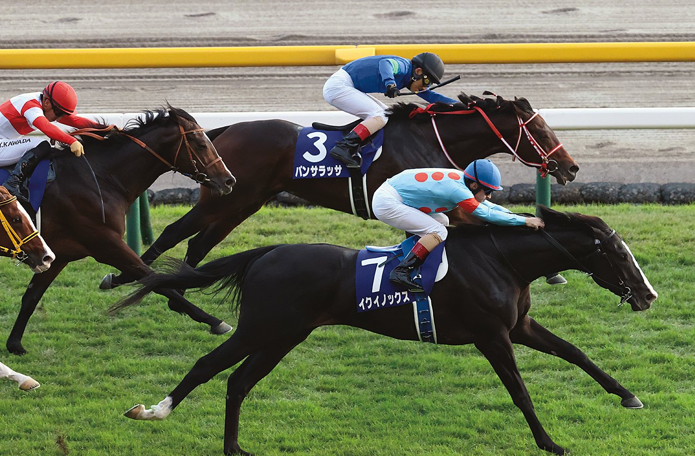 イクイノックス 22年天皇賞優勝記念アルバム 競馬 イクイノックス 22年