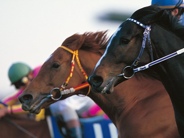 調教師たちの回想］1999 有馬記念 グラスワンダー＆スペシャルウィーク