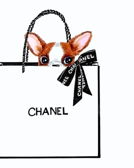 Chanel Chihuahua - Paint By Number - Num Paint Kit
