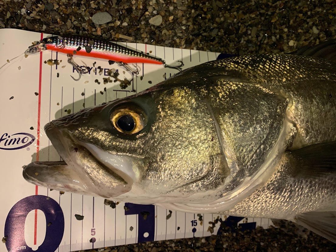 モアザンブランジーノEX AGS 98M/MHのファーストインプレ | fishing is