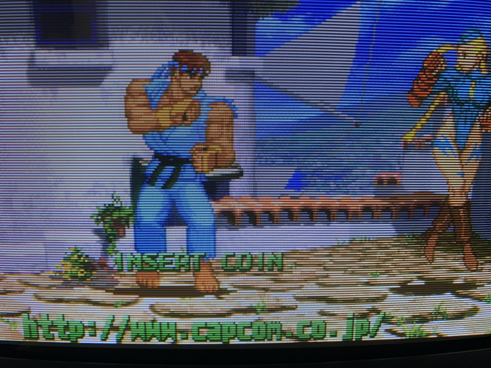 SONY 「PVM-20M4J」 HRトリニトロン ブラウン管モニタを買ってしまった