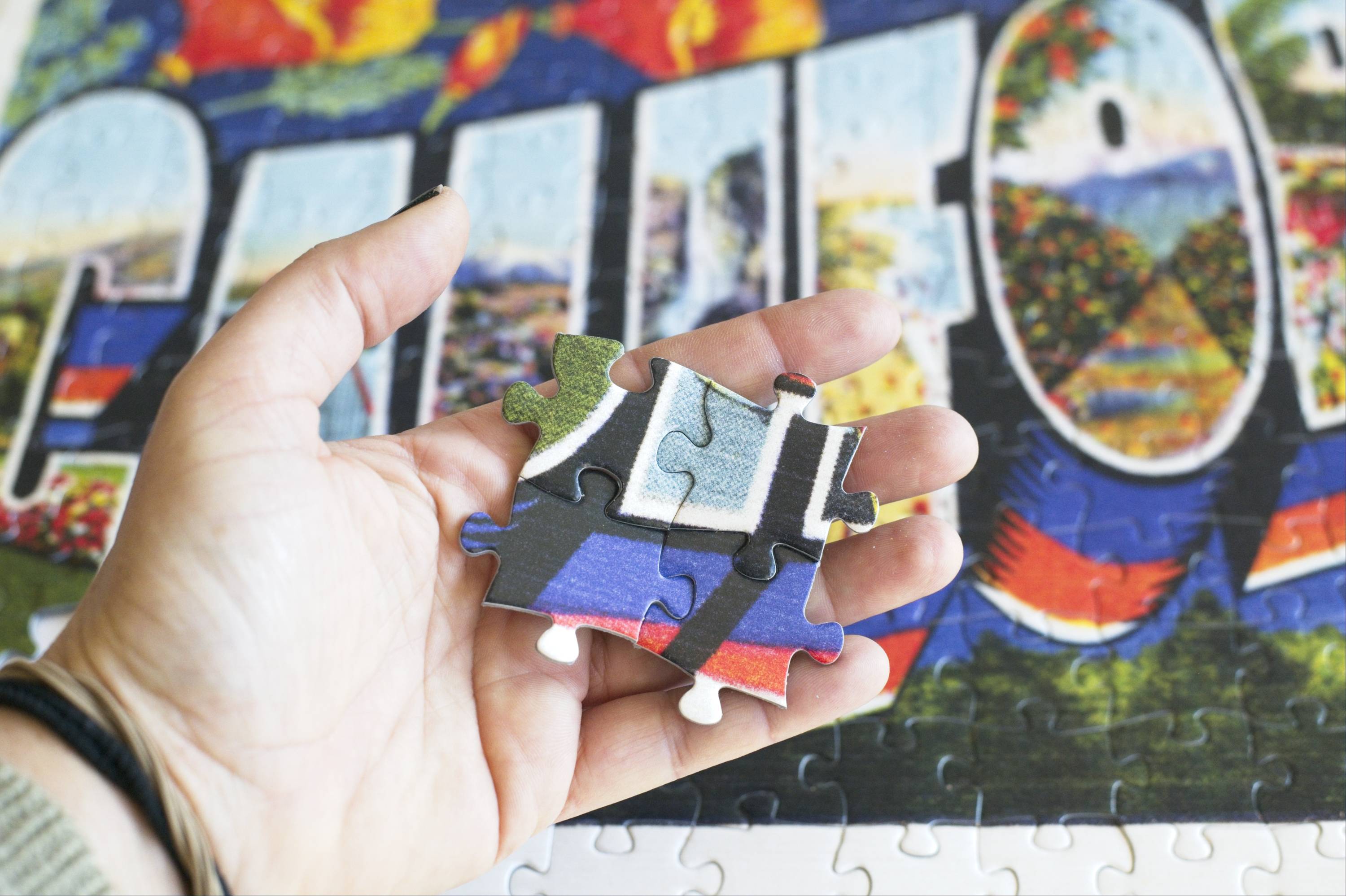 300-Piece Puzzles for Adults – Oakland Puzzle Company