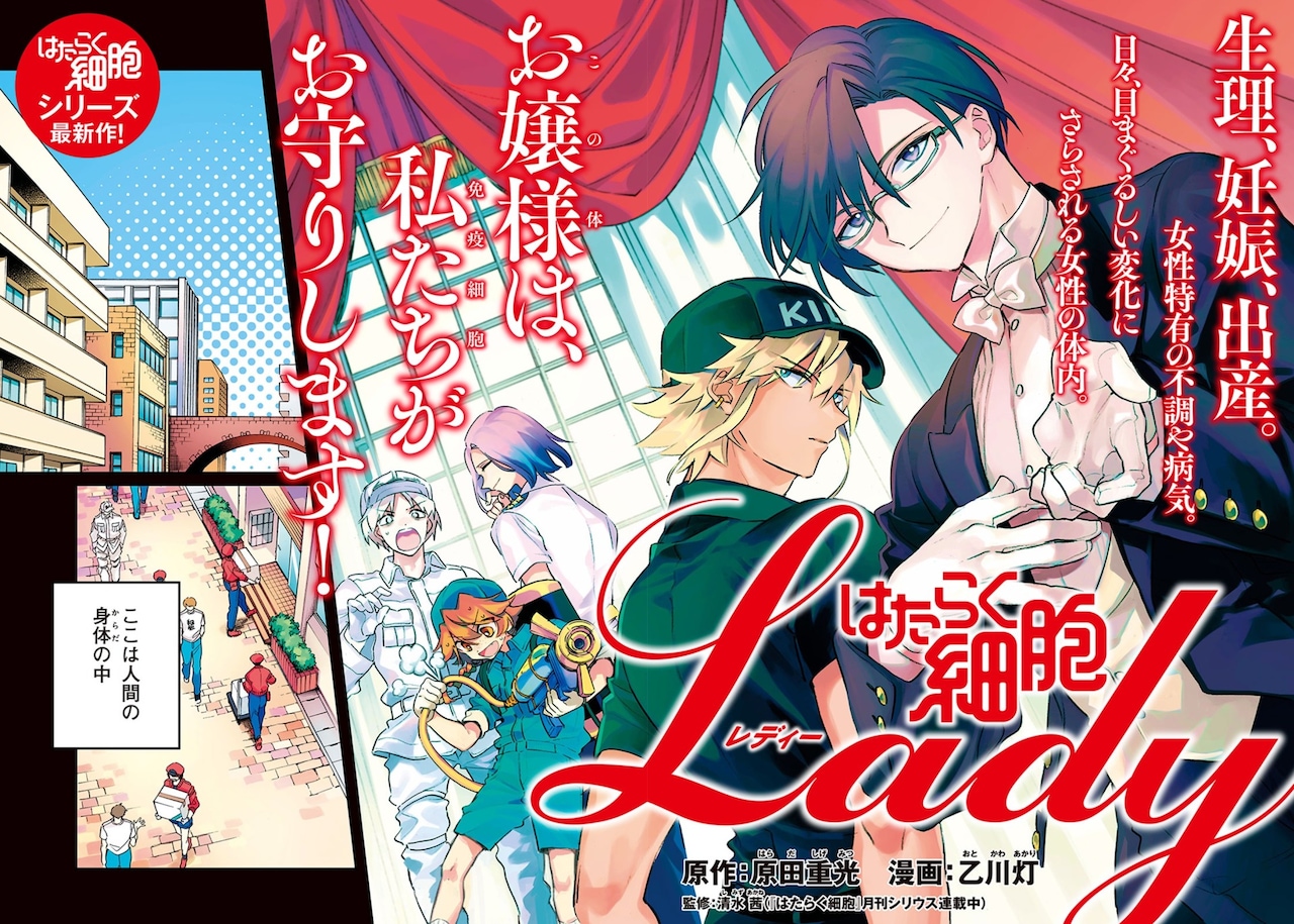 次なる舞台は女性の身体、スピンオフ「はたらく細胞LADY」がモーツーで