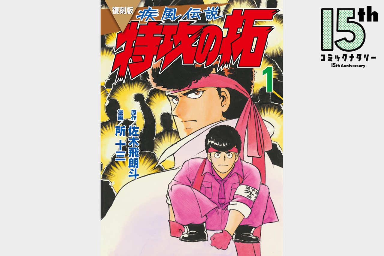 佐木飛朗斗・所十三「疾風伝説 特攻の拓」 | 私の名作 特別編 その4
