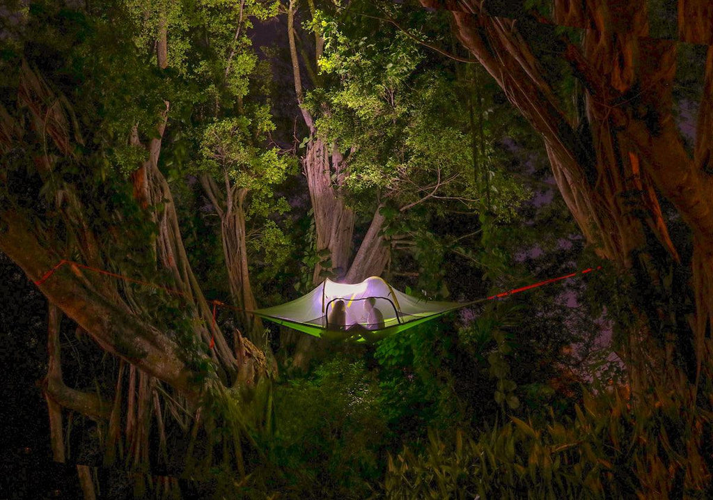 Tentsile Stingray 3 Person Tree Tent (3.0) – Off Road Tents