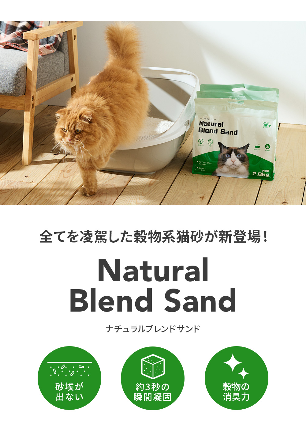 ナチュラルブレンドサンド」が発売されました。 | 株式会社オーエフティー