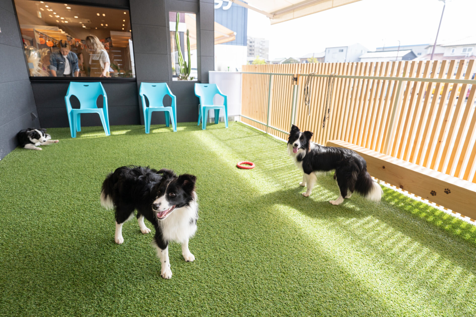 岡崎市若松町にオープン！ドッグカフェ『山田農園FARM&DOGS』に行っ