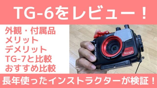 水中カメラ】TG-6のレビュー！水中写真を始める初心者におすすめ