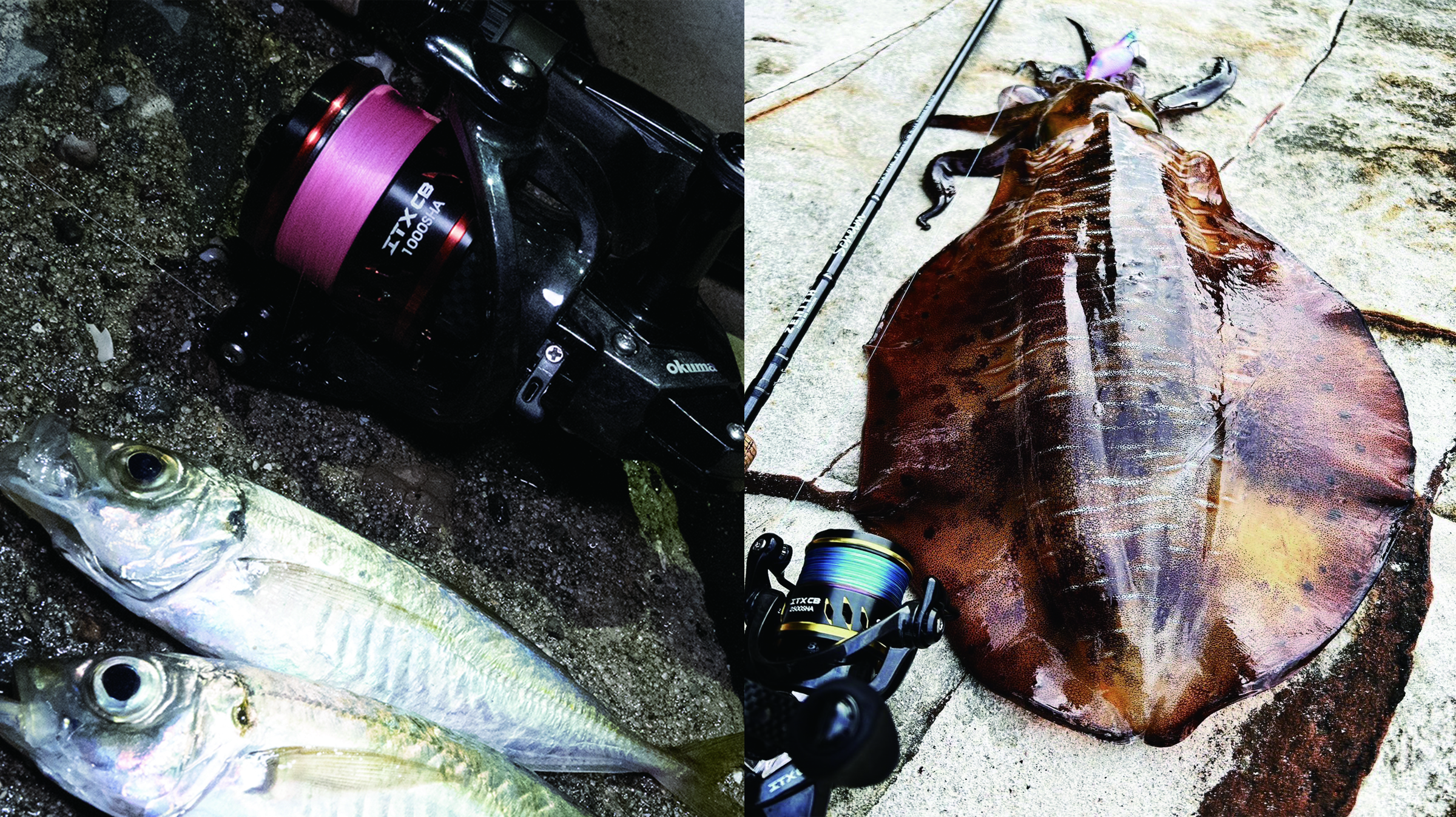 ITX CB PLUS（アイティーエックスシービープラス） - Okuma（オクマ