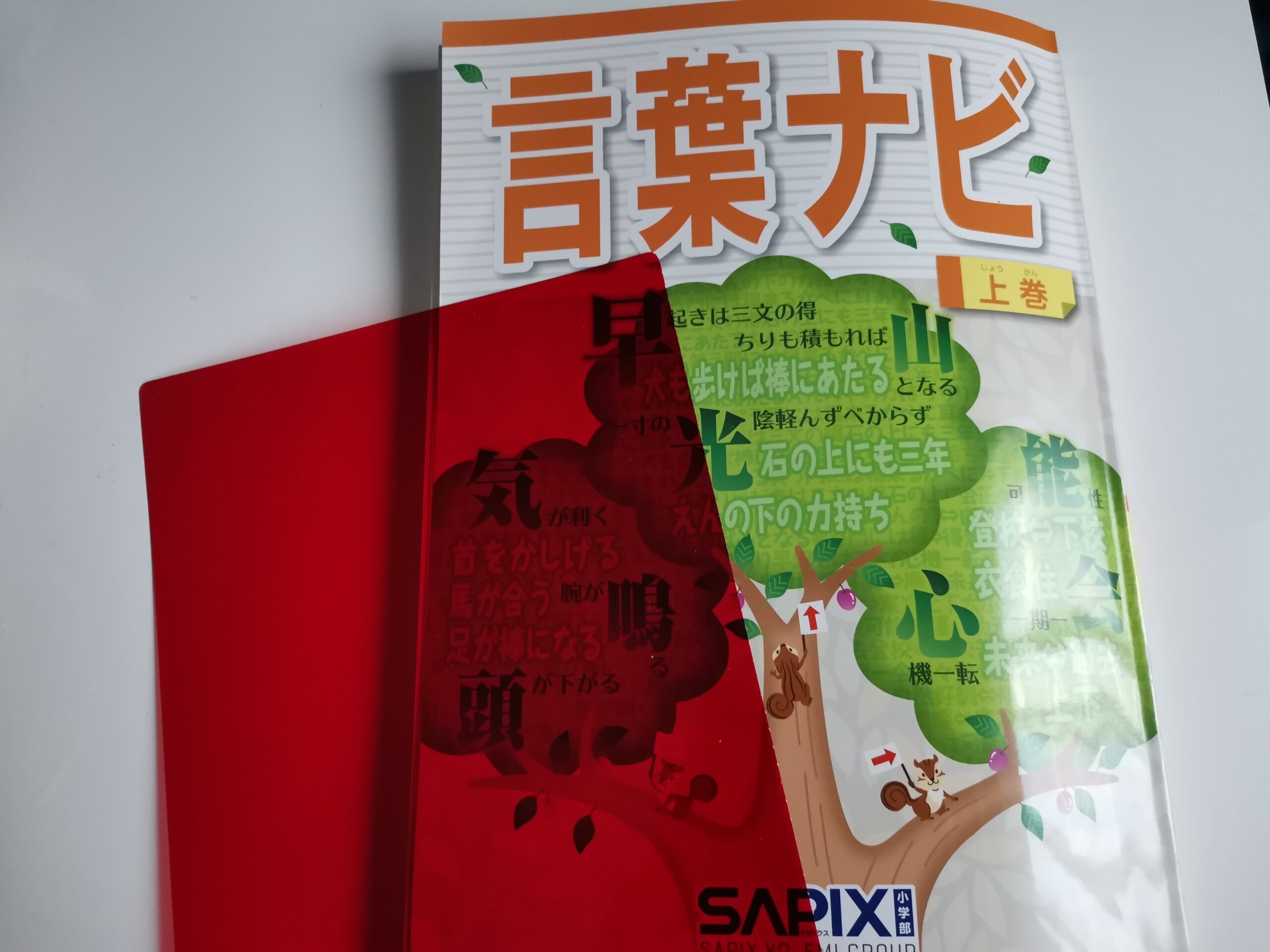 SAPIX】4年に向けて「言葉ナビ」が配られる - 奥様は女医