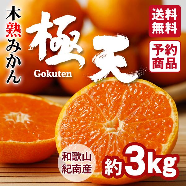 木熟みかん「極天」 | おいしく食べて和歌山モール