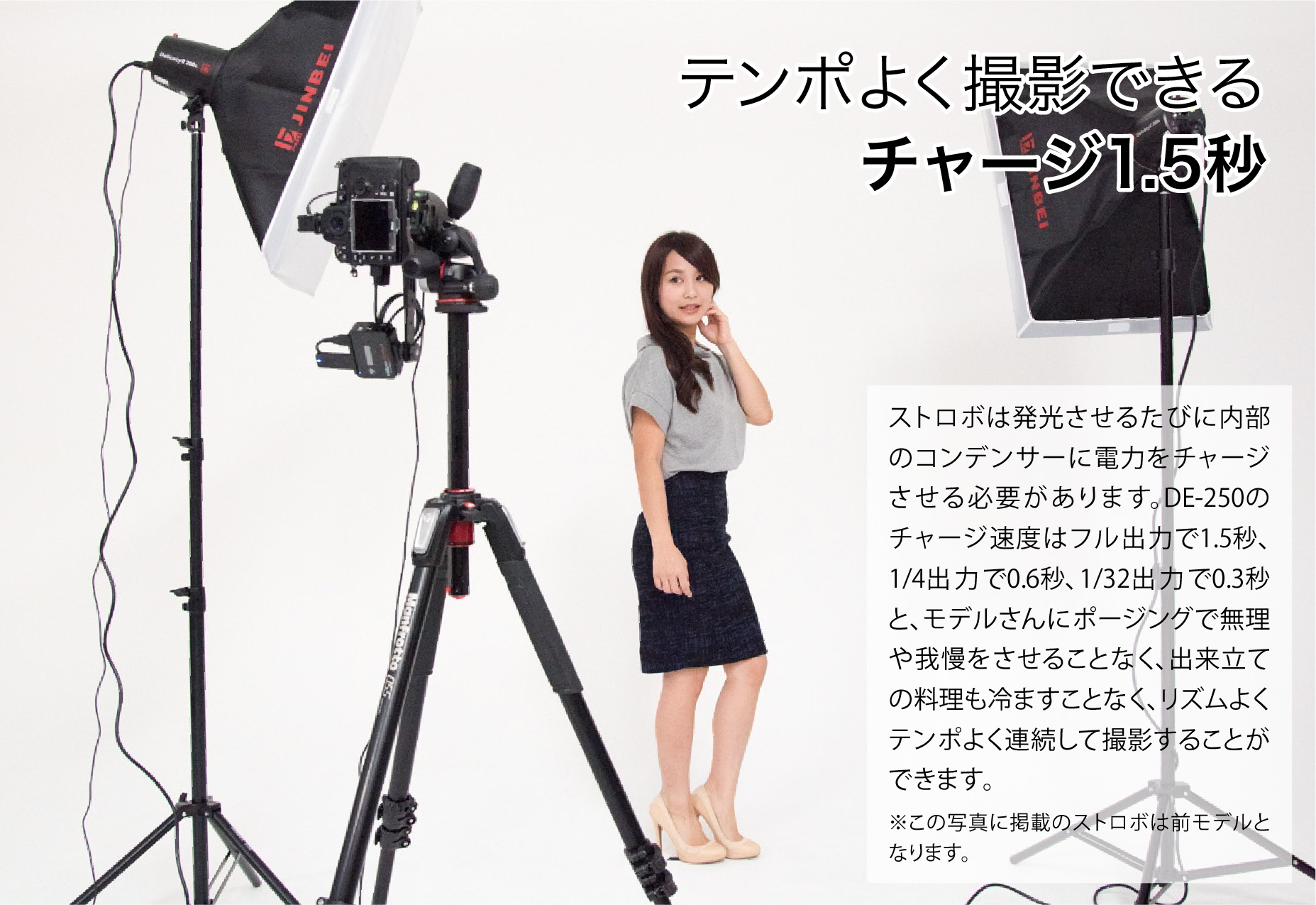 デイリーストロボ DE-250 トップライト撮影 ソフトボックスセット