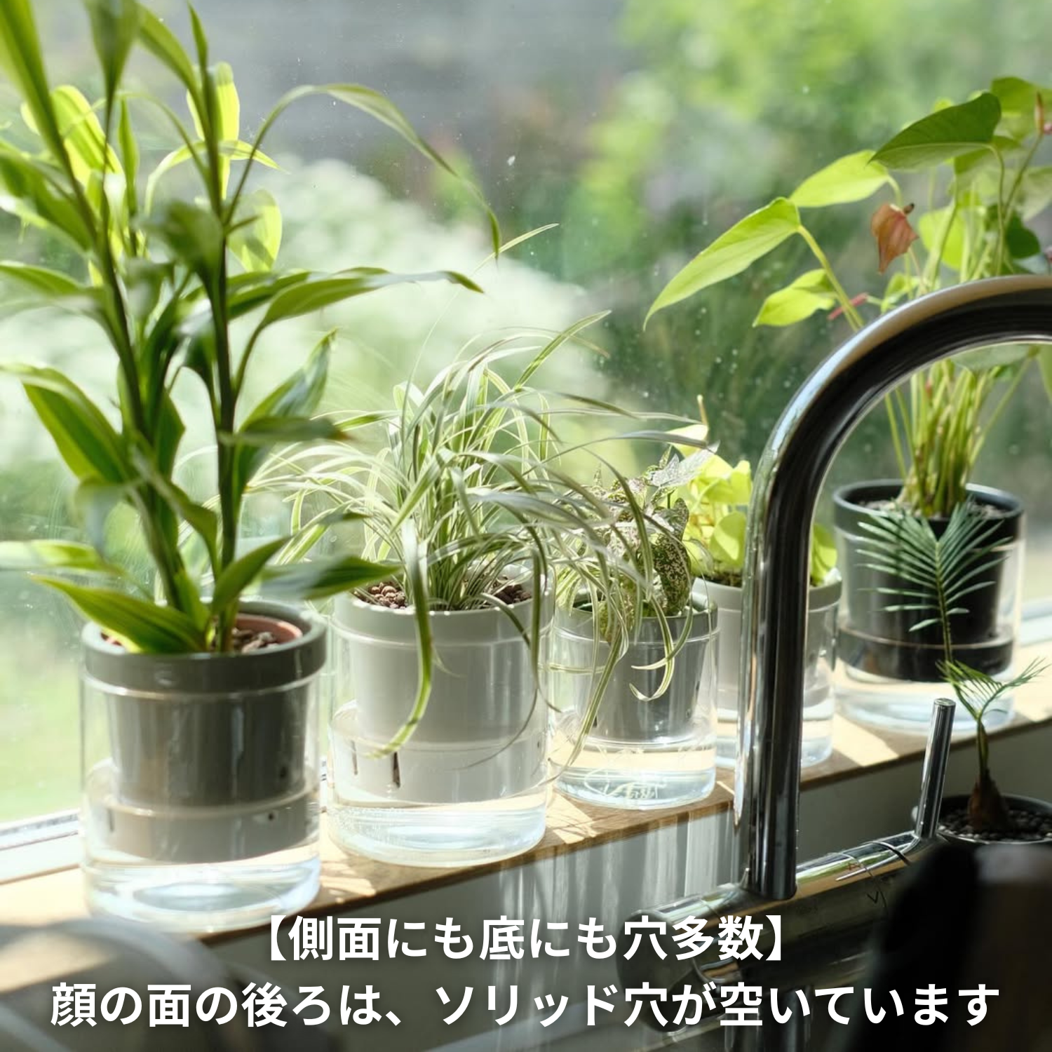 水耕栽培用 ハイドロカルチャー専用鉢 食虫植物の鉢｜陶器 おしゃれな