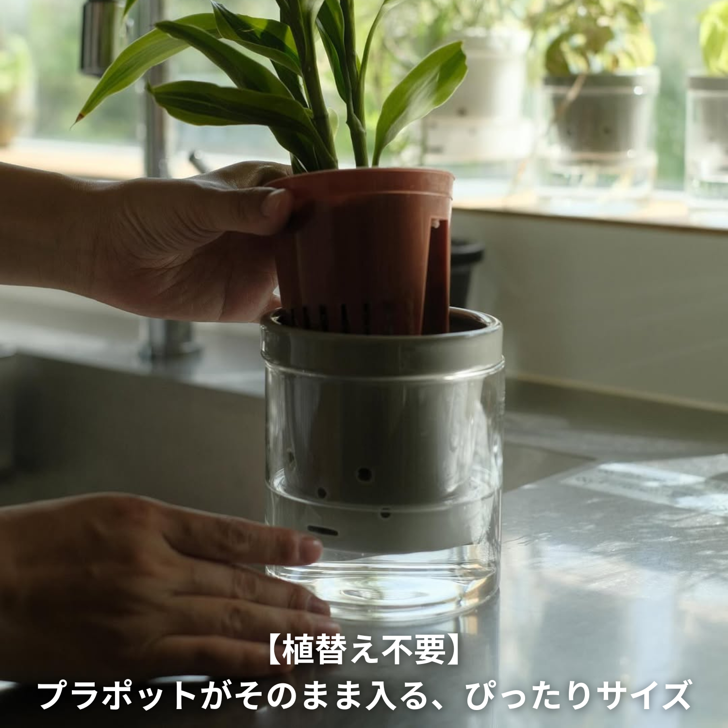 水耕栽培 ハイドロカルチャー専用鉢 食虫植物の鉢｜陶器 おしゃれな鉢
