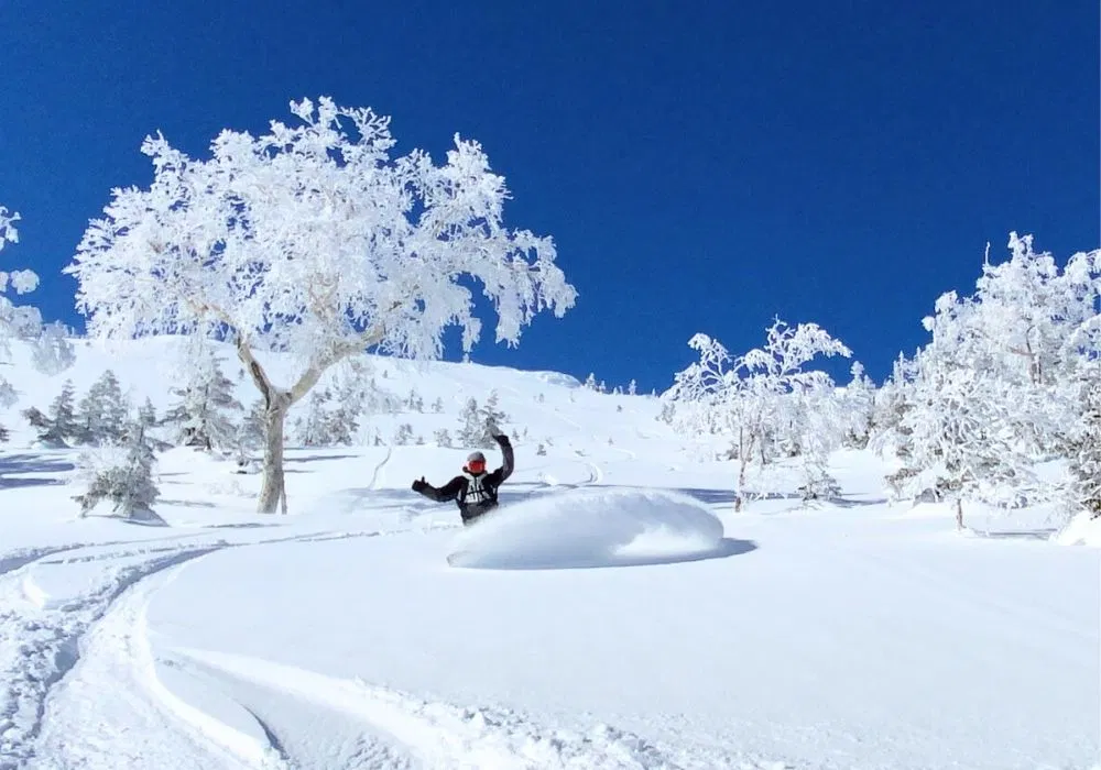 バックカントリー - ワンドロップ｜群馬県みなかみエリアのバック