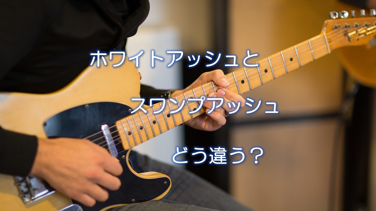 アッシュとスワンプアッシュってどう違う？それぞれの特徴を比較してみた！