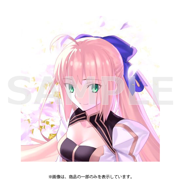 C103 Fate/Grand Order Premium Tapestry 2023（全7種）