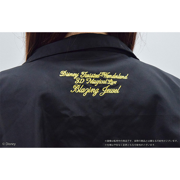 Disney Twisted-Wonderland 3D Magical Live -Blazing Jewel