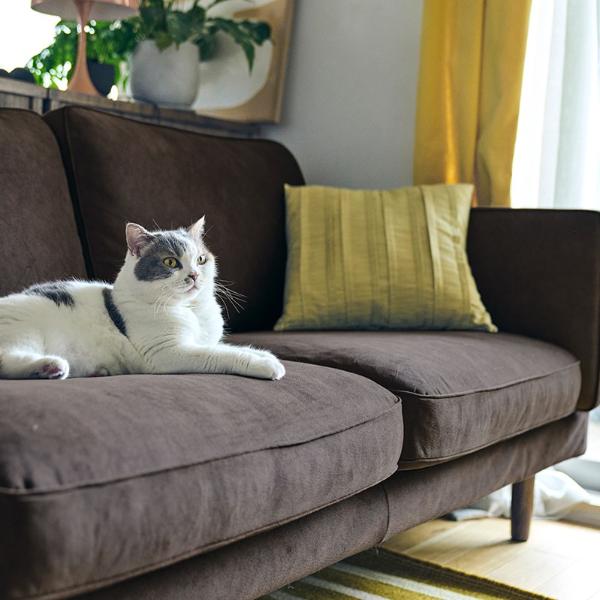 DUBBEL（fivebyfive）｜【公式】ACTUS online｜家具・インテリア・雑貨