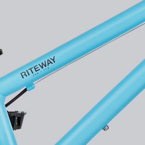 RITEWAY ( ライトウェイ ) キッズバイク ZIT 16 ( ジット 16 ) マット