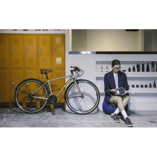 FUJI ( フジ ) クロスバイク RAIZ ( ライズ ) ペールネイビー 21inch