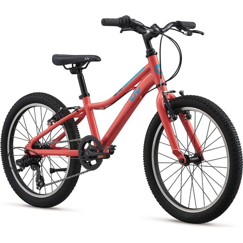 GIANT ( ジャイアント ) キッズバイク ENCHANT 20 LITE ( エンチャント