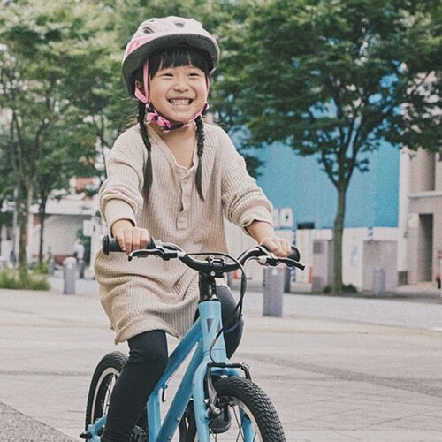 RITEWAY ( ライトウェイ ) キッズバイク ZIT 16 ( ジット 16 ) マット