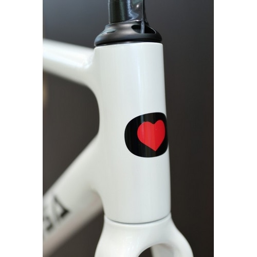 DE ROSA ( デローザ ) ロードフレーム 838 DISK フレームセット Y's