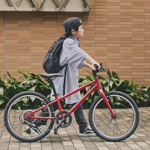 RITEWAY ( ライトウェイ ) キッズバイク ZIT 20 ( ジット 20 ) マット