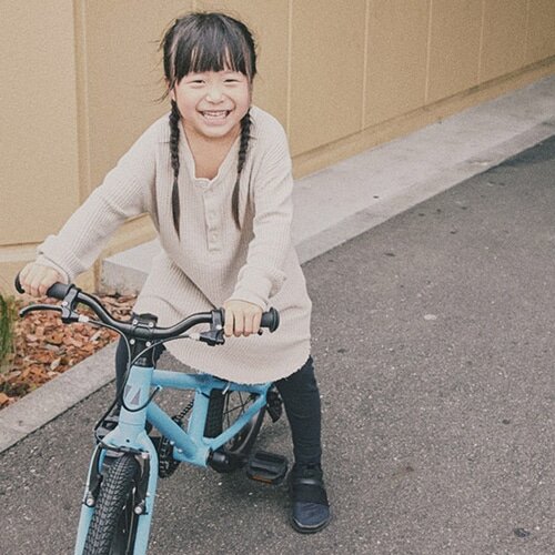 RITEWAY ( ライトウェイ ) キッズバイク ZIT 16 ( ジット 16 ) マット