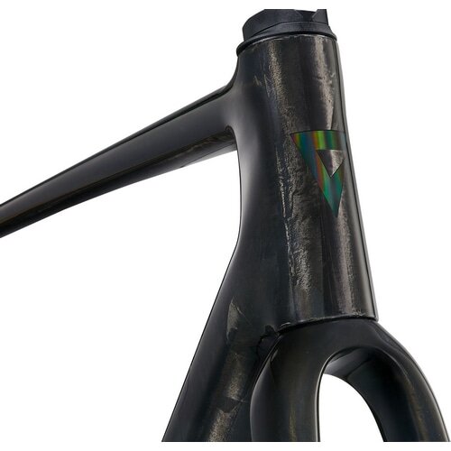 GIANT ( ジャイアント ) ロードフレーム TCR ADVANCED PRO FRAME SET