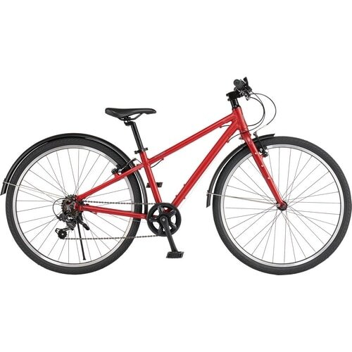 RITEWAY ( ライトウェイ ) キッズバイク ZIT 26 ( ジット 26 ) マット