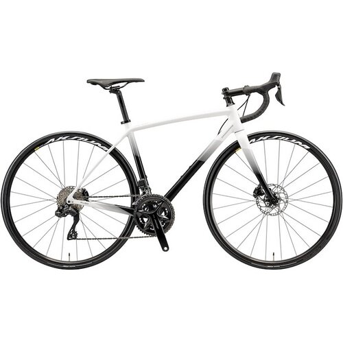 BRIDGESTONE / ANCHOR ( ブリヂストン / アンカー ) ロードバイク RL8D